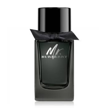 Burberry Mr.  - EDP 100 ml