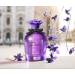 Dolce Violet - EDT